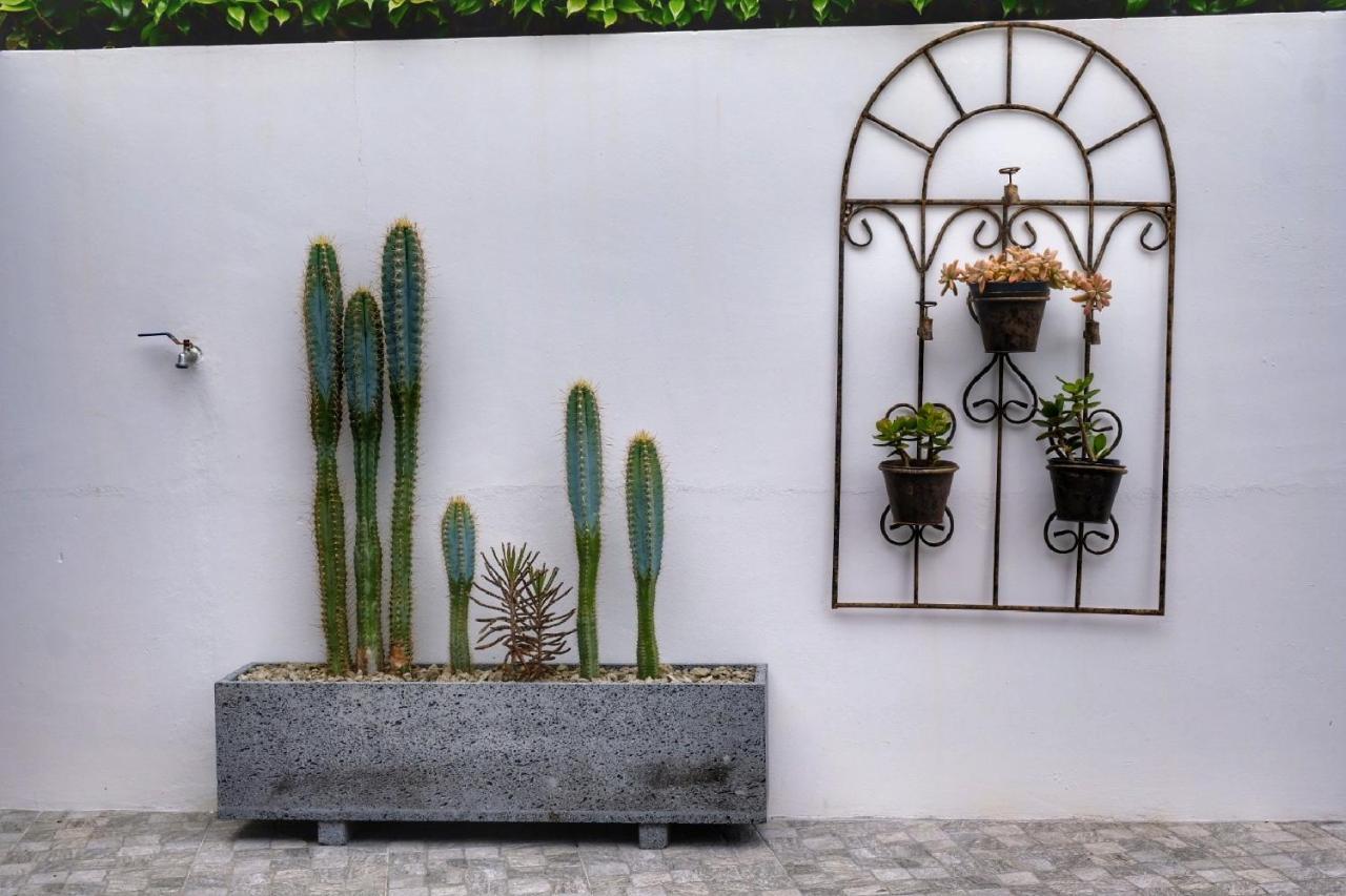 Casa Pacheco Daire Furnas  Dış mekan fotoğraf